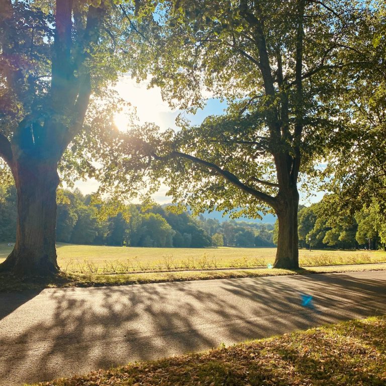 Klosterwiese_Lichtentaler Allee (c) Baden-Baden Kur & Tourismus GmbH, C. Cancellieri