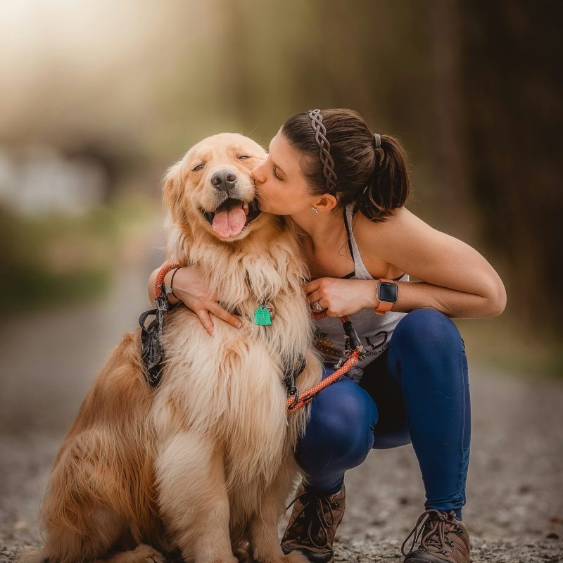 Tierbegleitete Therapie